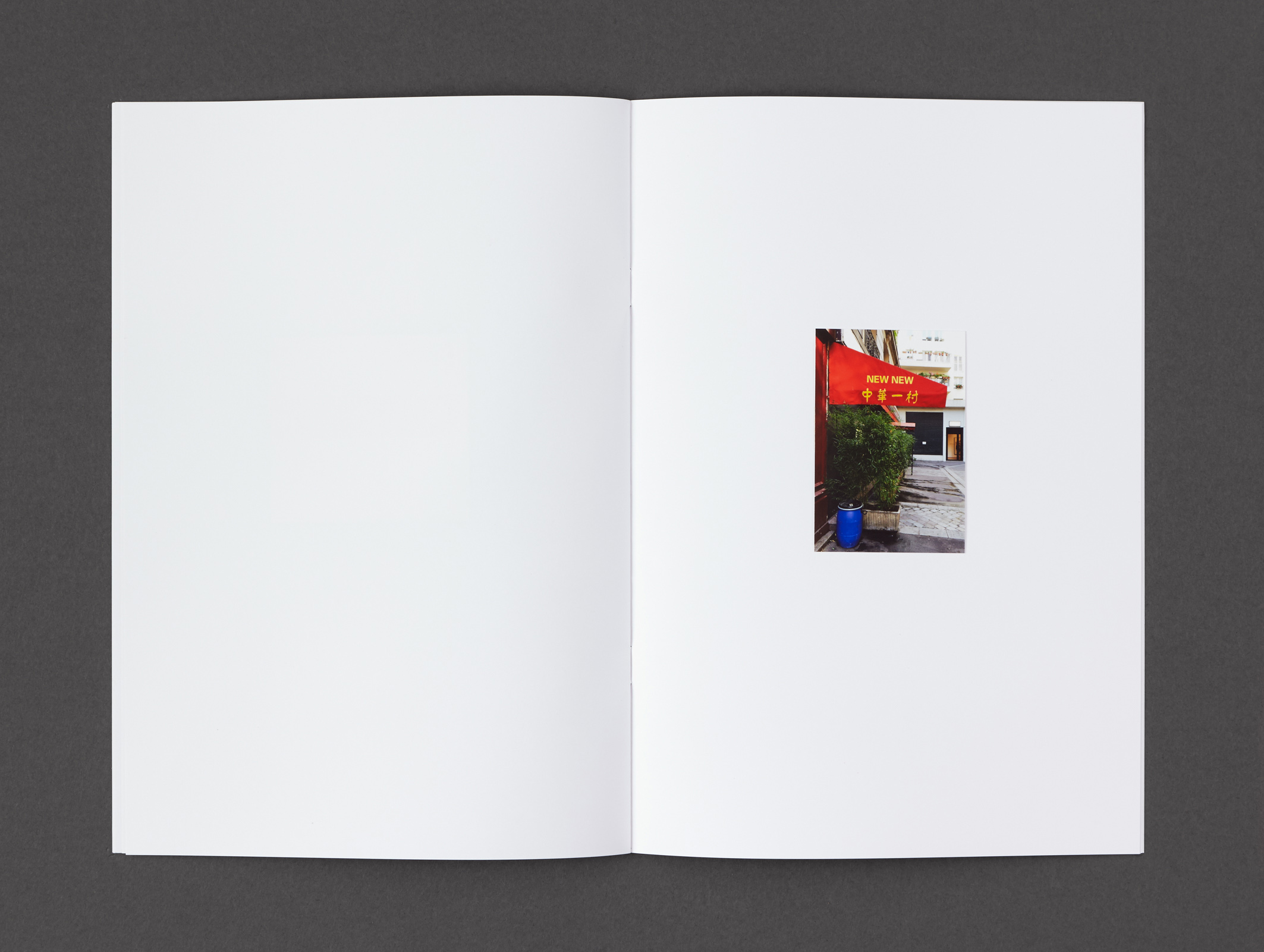 Elizabeth Newman   Whereof One Cannot Speak 01